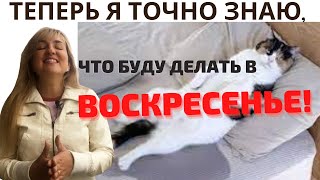 Воскресенье!