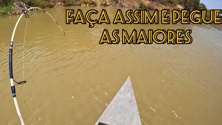 melhor isca e boa dica para CARANHA,PIAU E PACU CD.