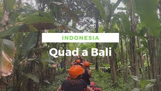 Quad nella foresta di Bali in Indonesia