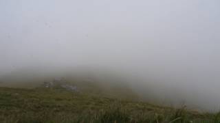 St Kilda in the mist