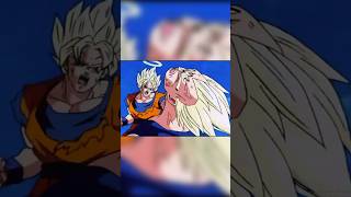 Goku And Vegeta Were Inflicting As Much DAMAGE As Possible On Each Other…😳