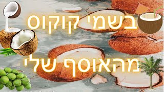 בשמי קוקוס מהאוסף שלי 🥥🥥