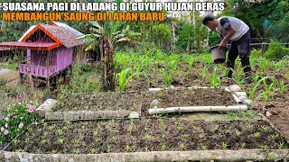 SUASANA PAGI DI LADANG DI GUYUR HUJAN DERAS, KEHIDUPAN DI KAMPUNG SAN MEMBANGUN GUBUK DI LAHAN BARU