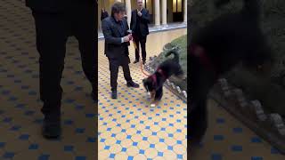 Javier Milei paseó por la Casa Rosada con el perro Thor