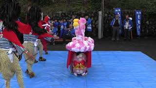 令和5年 長根神社秋季例大祭 宿獅子舞 「花吸い」