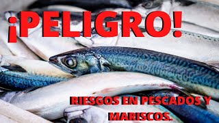 😲🤮👾PARÁSITOS EN PESCADOS Y MARISCOS😲🤮👾 METALES PESADOS- ETAS- CHEF MODE MEDIA- GASTRONOMÍA