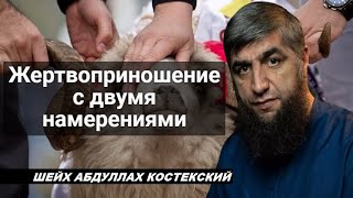 Жертвоприношение с двумя намерениями - шейх Абдуллах Костекский