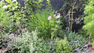 Relaxing sunny Garden ambience