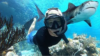 I SURVIVED A BULL SHARK ATTACK While Spearfishing In The Bahamas