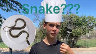 SNAKE Catch and Cook! #catchandcook #survival