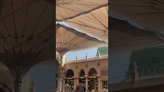 Masjid Nabawi #1 #short