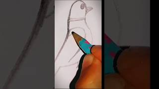 draw with digit,how to draw a bird easily for beginners #parrot #drawing #viralshorts #birds