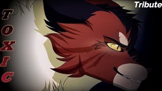 Warrior Cats Tribute Mapleshade - Toxic (Dark Version)