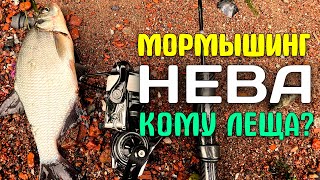 НЕВСКАЯ Раздача | ЛЕЩ | Карася НЕТ #мормышинг #nanojig #рыбалка #fishing