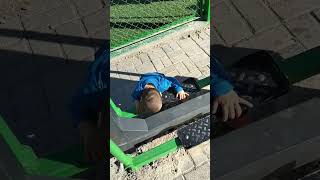 әпшесінін артынан калмайд #sorts #cutevideo #shortsvideo #viralbaby #viral #share #baby #viralvideo