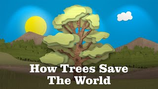 How Trees Save the World: Carbon Sequestration Explained 🌳 #woodisgood #carbonsequestration