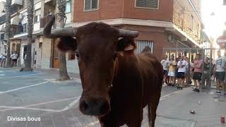 Museros suelta de vacas peñya bouera Gent jove  .