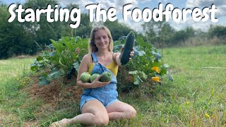 Our Way To SELF-SUFFICIENTLY | Planting Trees On The Food Forest | Hugelkultur