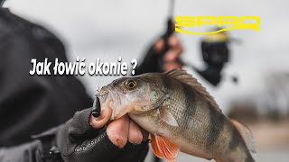 Jak Złowić Okonia - Doskonałe zestawy na okonie // Drop Shot // Jig Rig