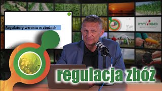 Regulacja pokroju zbóż | Mepik 300 SL | Regullo 500 EC