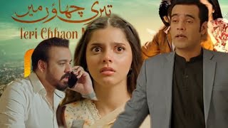 Teri Chaon Mein Episode 17 Teaser | Teri Chhaon Mein Episode 17 Promo | Hum Tv Drama