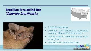 Conservation Conversations: Wednesday, March 8, 2023. "Bat Conservation in Miami-Dade County."