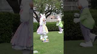 Easter at Disney World - Mrs Bunny #shorts