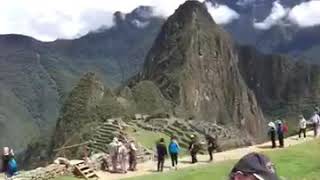 Machu Picchu resting