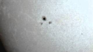 White Light Solar Activity - AR1613