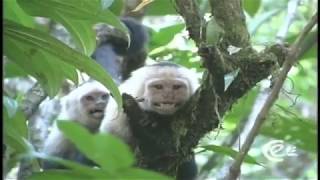 Parques Naturales de Colombia