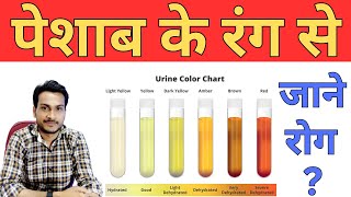 पेशाब के रंग से जाने अपनी बीमारी | पेशाब का रंग कैसा होना चाहिए #urineproblem