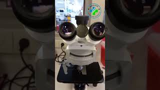 H Nana | hymenolepis nana under microscope | Tapeworm infection | Stool examination | ova of H Nana