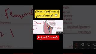 femoral triangle clinical significance #shortsviralvideo #shortsvideo #shorts