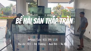 Quy trình thi công lắp đặt bể cá hải sản tháp tràn vuông 3 tầng giật cấp 2 loại nước tại Hải Dương