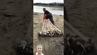 चुपके शिकार किया  मछली का  और पकडी बहुत सारी मच्छीलिया है #fishing #fish 😮😮😮🙆‍♂️🙆‍♂️