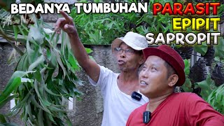 BEDANYA TUMBUHAN PARASIT, EPIPIT, DAN SAPROPIT BERSAMA H. ULIH PETANI TANAMAN HIAS BOGOR