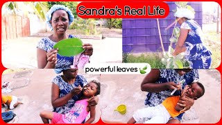 This leave quickly cured my kids cold in few days... Home remedies ll Sandra's Real Life