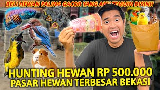 HUNTING HEWAN RP 500.000 KE PASAR HEWAN TERBESAR DI BEKASI! DAPET HEWAN PALING GACOR DISINI!