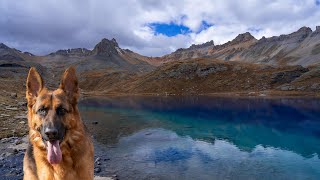 Hiking with German Shepherd | Ice Lake Colorado USA