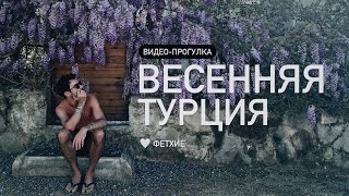 Обзор цветущих растений в Турции в начале апреля.