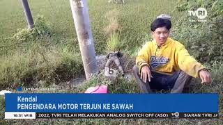 Pengendara Motor Terjun Ke Sawah