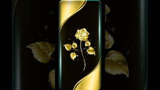 Valentines day luxury gold metal rose an Animated