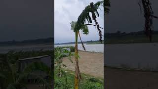 আমার অজপাড়া গাঁও।।কতইনা সুন্দর।। রাস্তার পাশ দিয়ে বহমান নদী।। #village #river #life