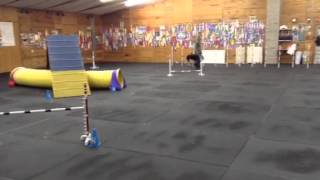 Agility class at total recall