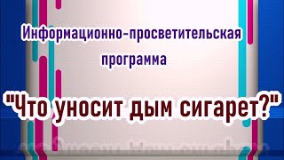 Информационно-просветительская программа "Что уносит дым сигарет?"