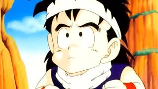 Gohan insults Napa