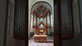 Dessau EULE Orgel Widor