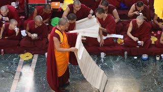 Geshé Tongo Ceremony at Drepung Gomang Monastery: An Auspicious Day of Offerings and Aspiration