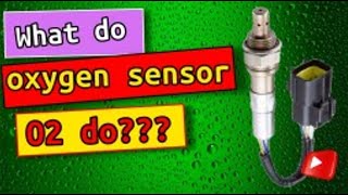 What Does The Oxygen Sensor In Your Car Do? What do oxygen sensor O2 do?