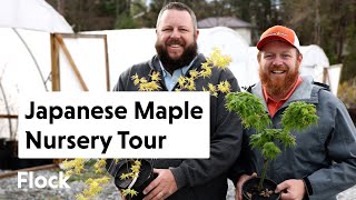 Tour a JAPANESE MAPLE Nursery — Ep. 241